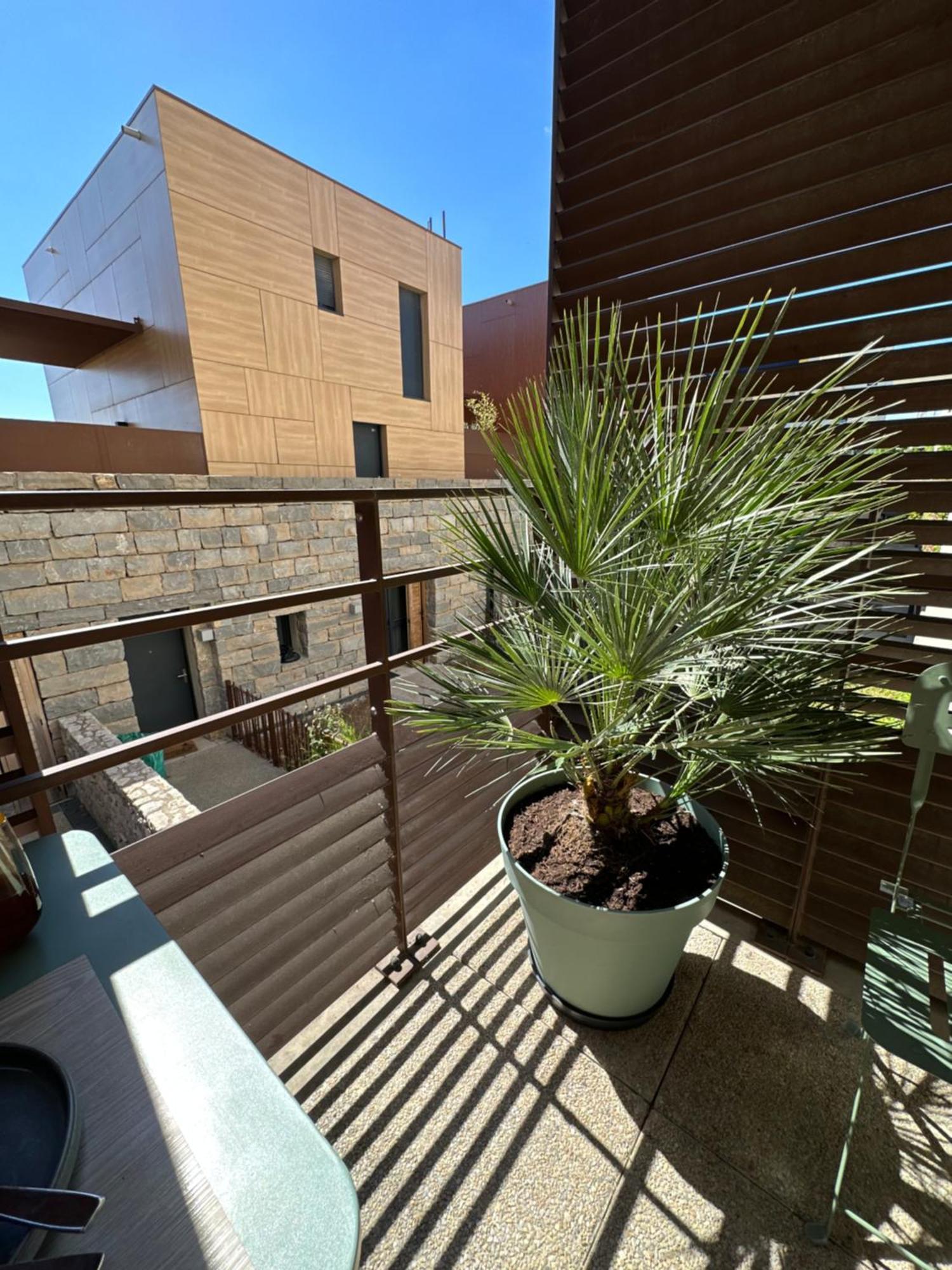 Appartement Charmant Au Porte De Montpellier Saint-Jean-de-Védas Dış mekan fotoğraf